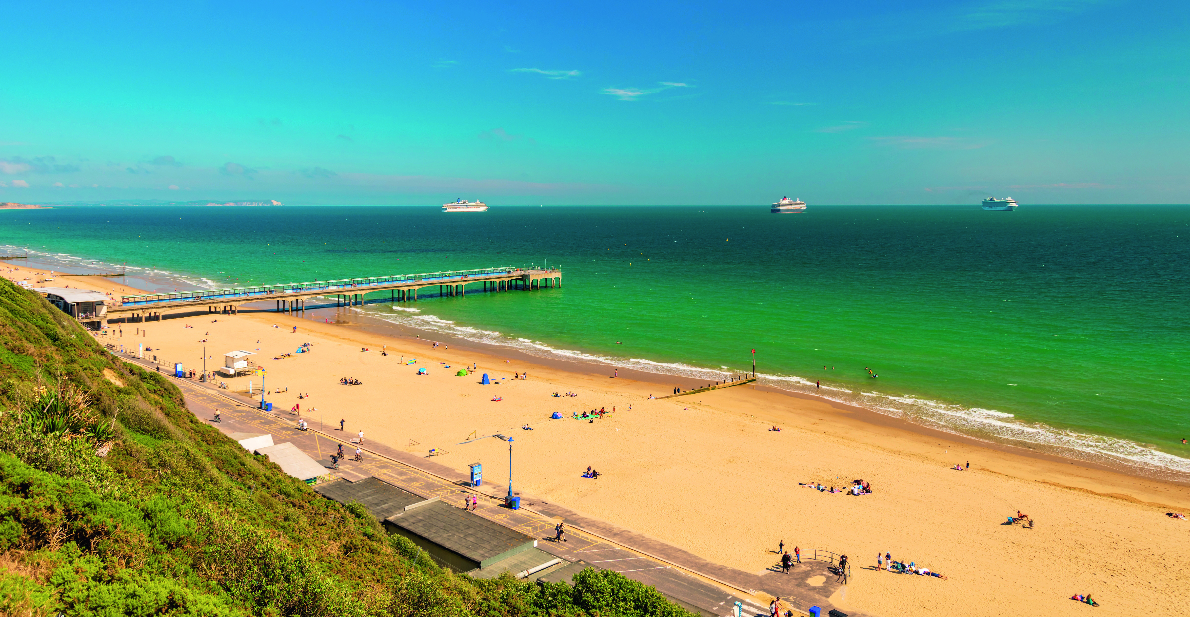 is boscombe beach dog friendly