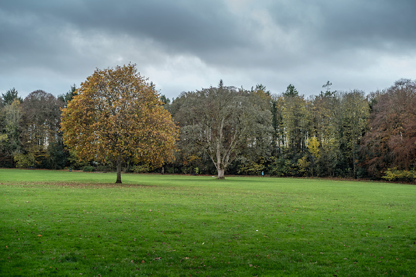 Rozelle Park 