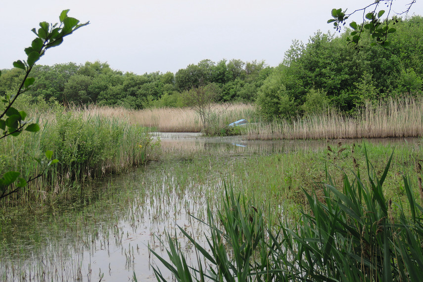 4. Dawlish Warren Nature Reserve