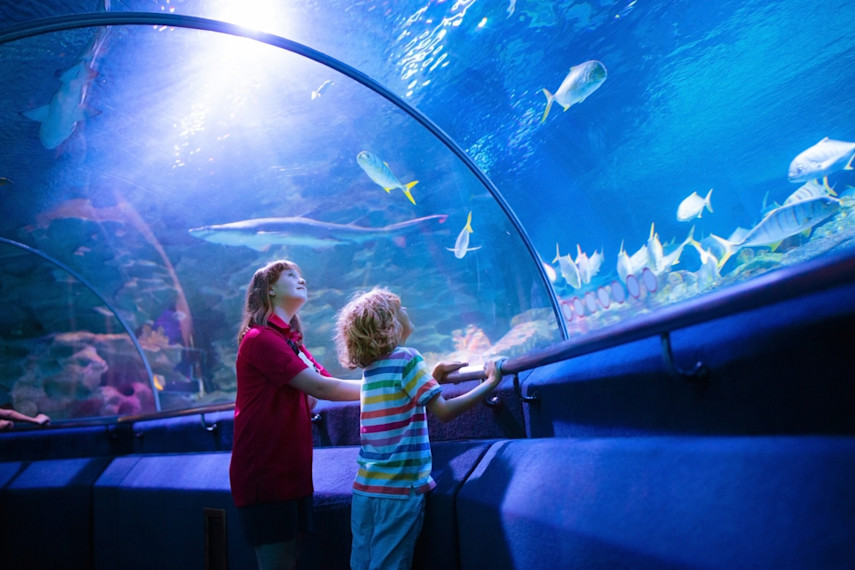 Best places to visit for kids aged 4-11 in Sussex