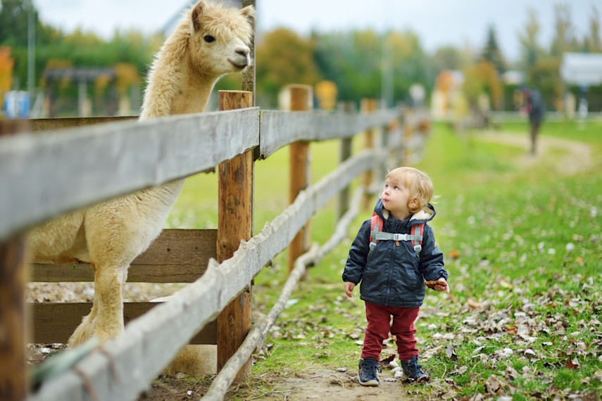 Best cafes for babies and toddlers in Lincolnshire