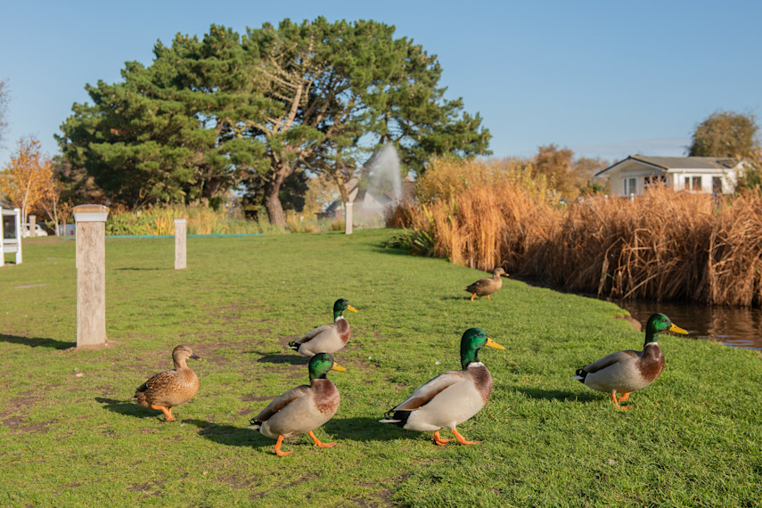 Other popular highlights