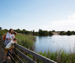 Pagham Lagoon next door at Church Farm