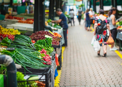 What’s on in Norfolk 2025