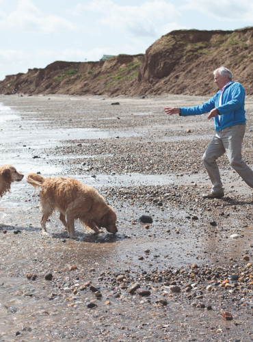 Dog-friendly beaches steps away
