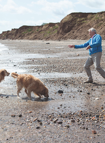 Dog-friendly beaches steps away