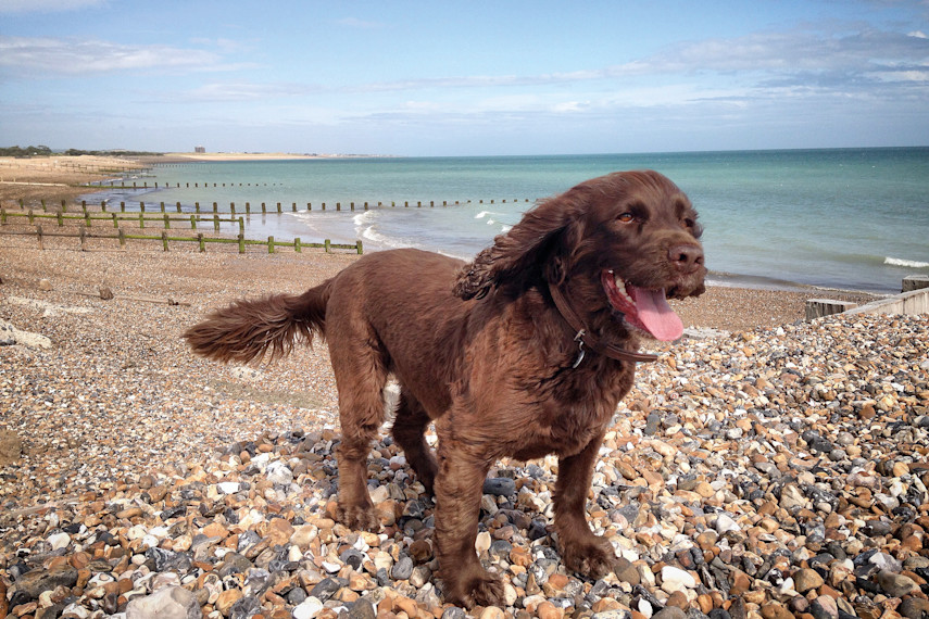 7. Climping Beach, Littlehampton