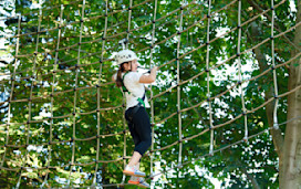 Aerial Adventure
