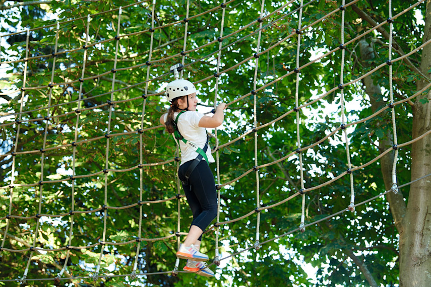 Aerial Adventure