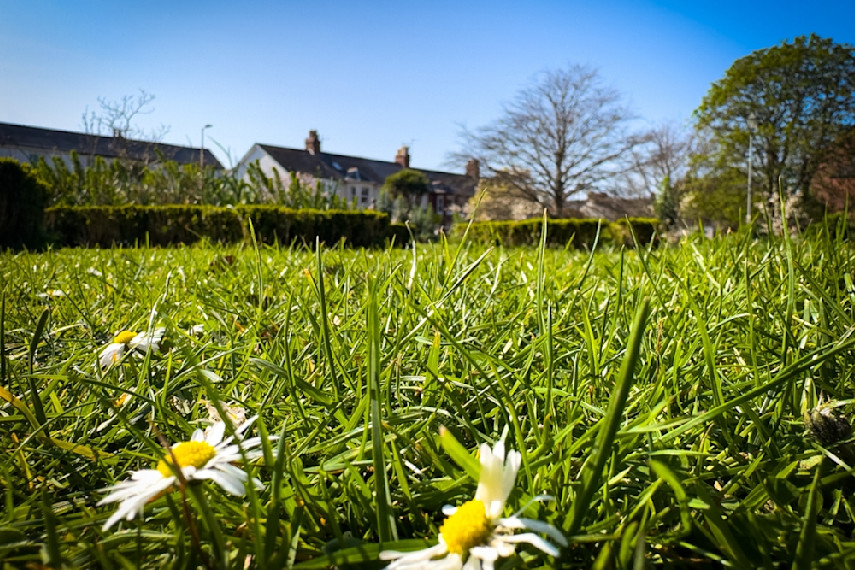 12. Manor Gardens