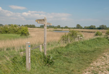 Pagham Harbour nature reserve