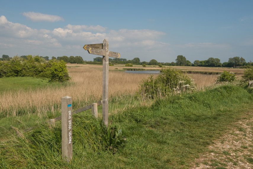 Pagham Harbour nature reserve