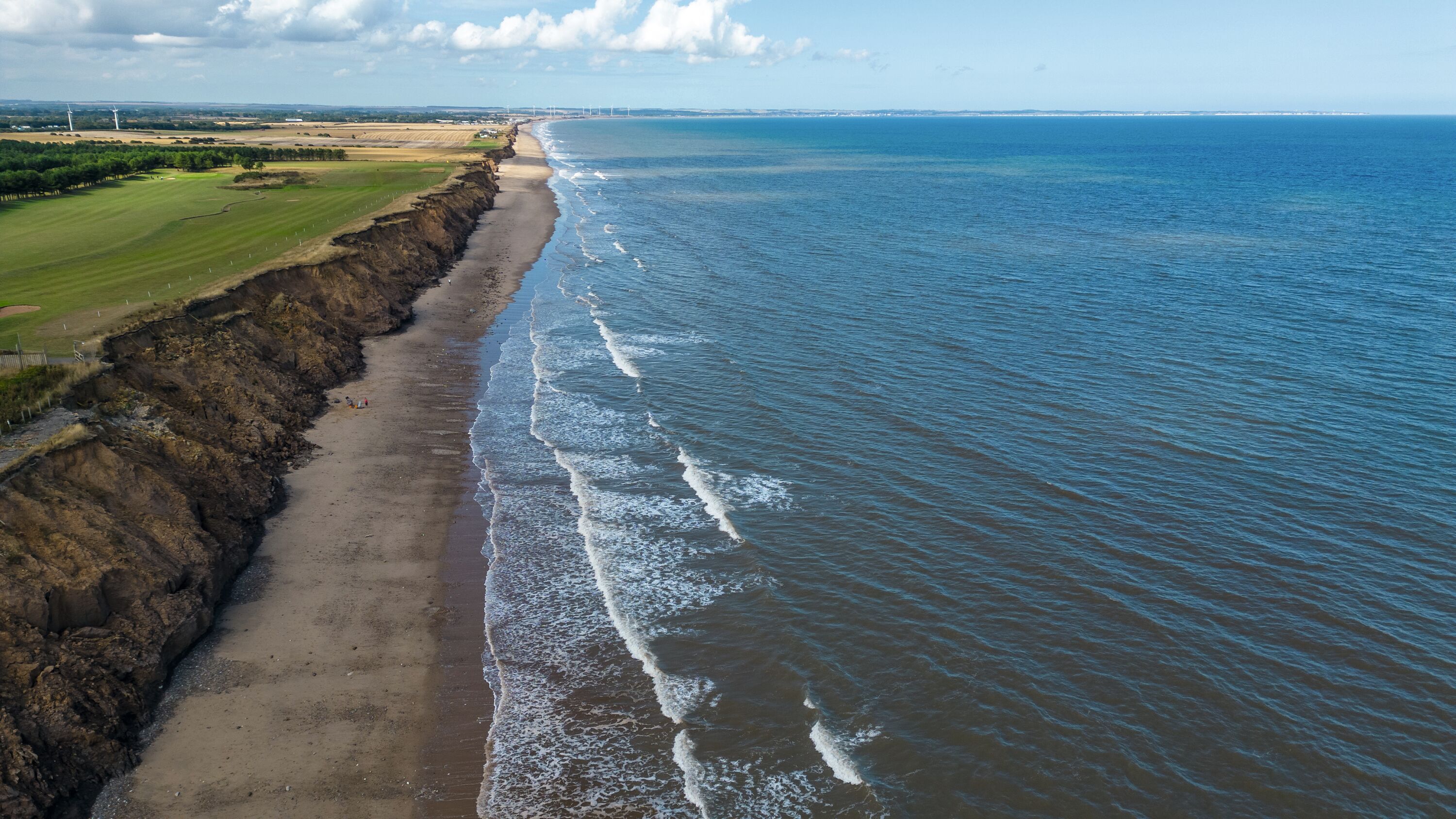 3. Take a walk on the wild side