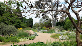 Beth Chatto Gardens, Elmstead Market