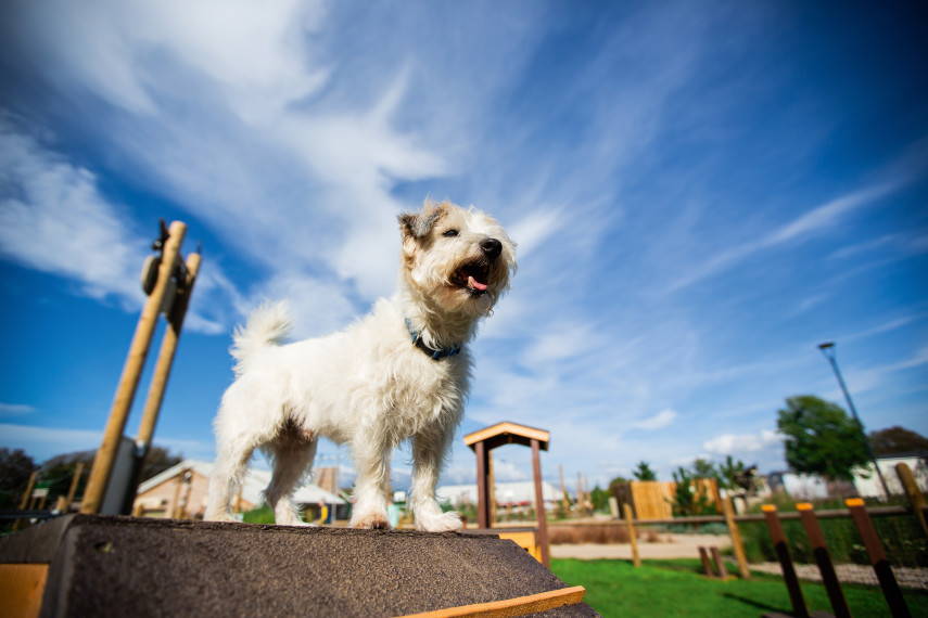 Golden Sands, Lincolnshire