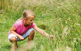 Nature Walk at Weymouth Bay