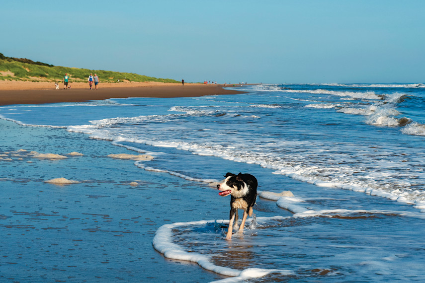 Beach attractions: magnificently mouthwatering