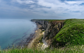 Flamborough Head