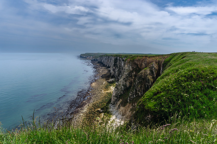 Thornwick Bay to Flamborough Head 