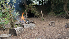 Ranger activities