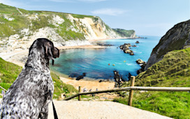 Dog-friendly beaches near Bournemouth