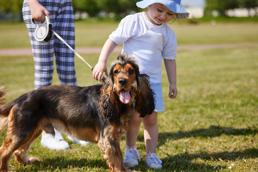 3. Strawberry Field Pet Play