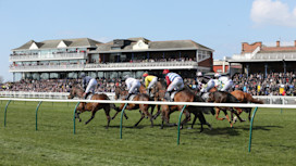 Ayr Racecourse