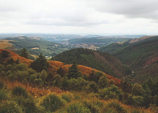 Best walks in Ceredigion