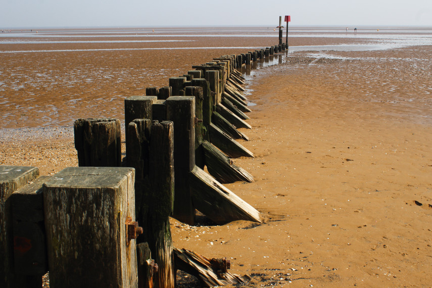 Beach walks: coastal gems