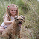 Dogs welcome