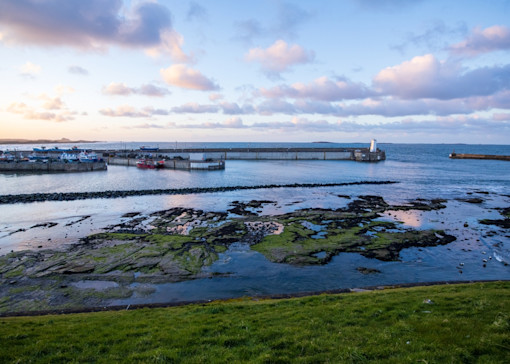 Things to do in Northumberland with kids