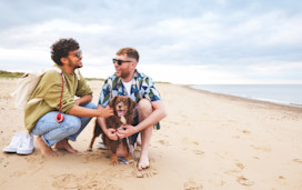 Enjoy strolls on the beach