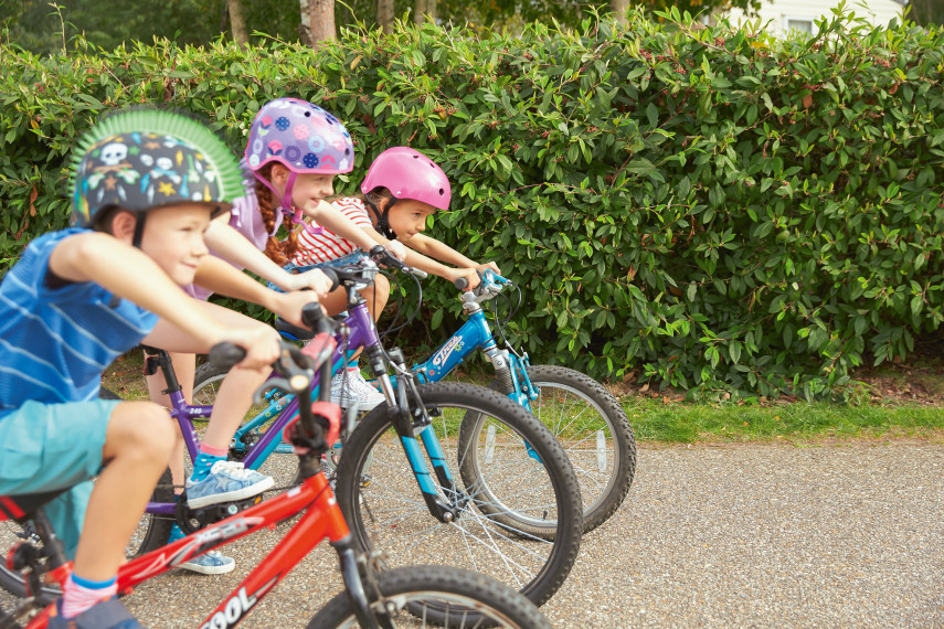 A private bike tour 