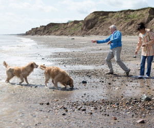 Dog walks on the beach which is accessed straight from the park