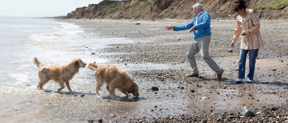 Dog walks on the beach which is accessed straight from the park