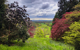 Killerton House view near Exeter