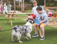 A dog being playful at the Adventure Village