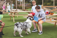 A dog being playful at the Adventure Village