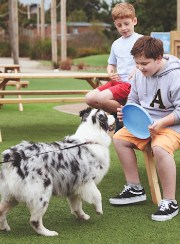 A dog being playful at the Adventure Village