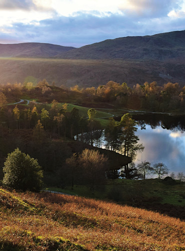 Tarn Hows, Cumbria scenery