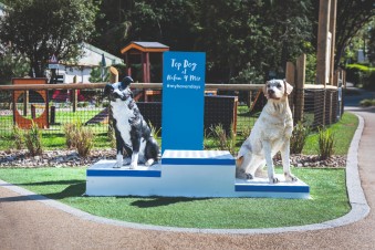 The Bark Yard, dog agility course