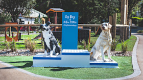 The Bark Yard, dog agility course