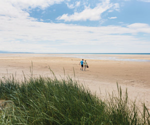 Black Rock Sands alongside the park