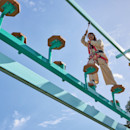 Aerial Adventure