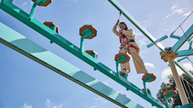 Aerial Adventure