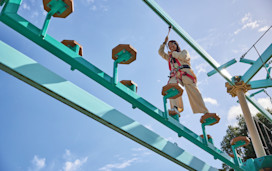 Aerial Adventure