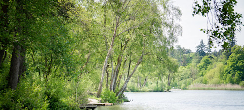 9. Tilgate Park