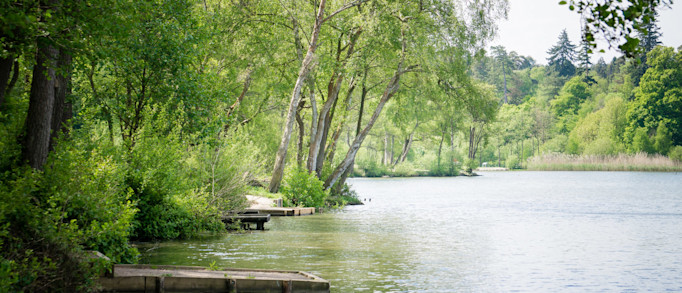 9. Tilgate Park