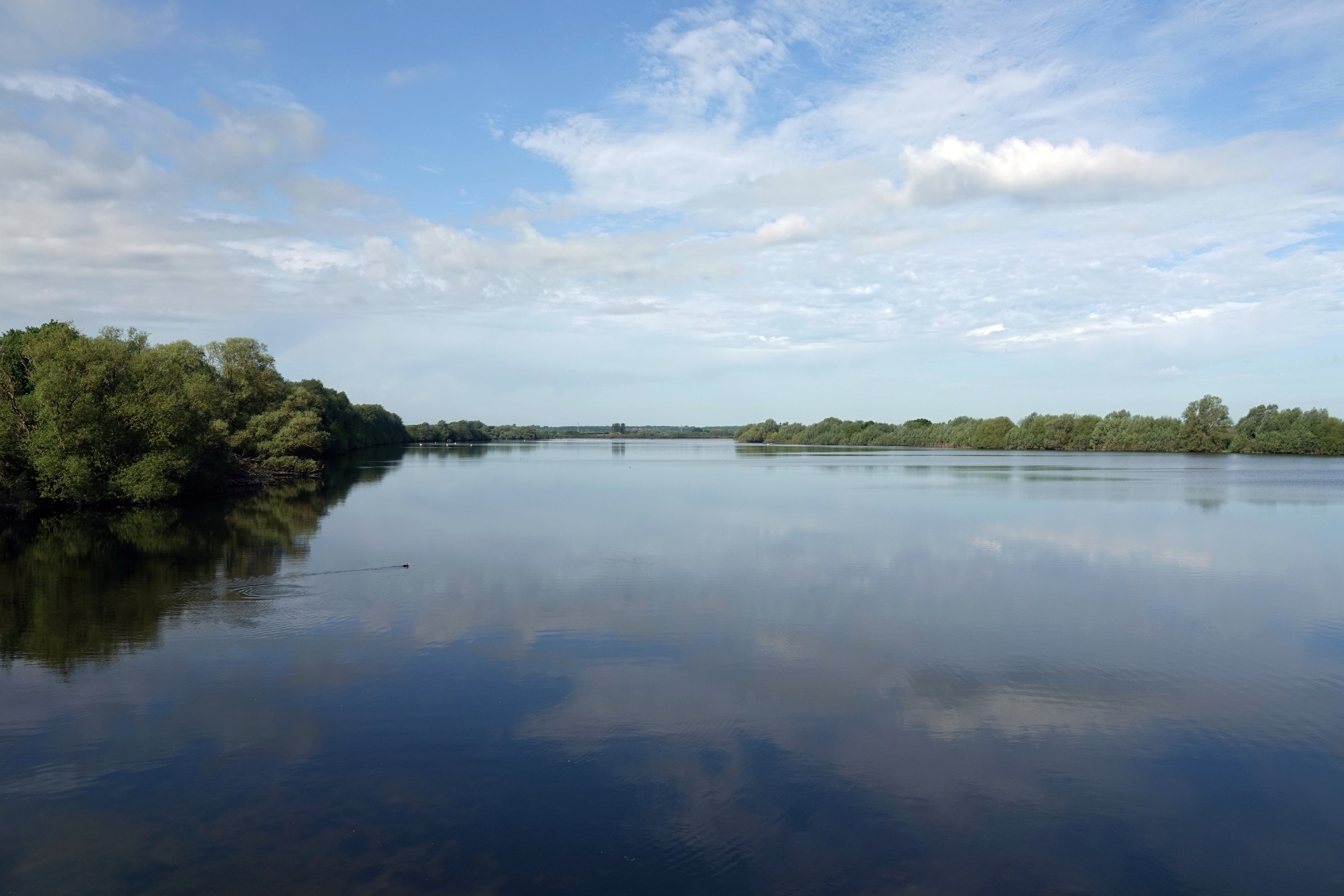 9. Abberton Reservoir Nature Discovery Park: hides and short nature trails