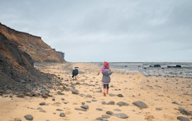 Beach on The Naze coastline